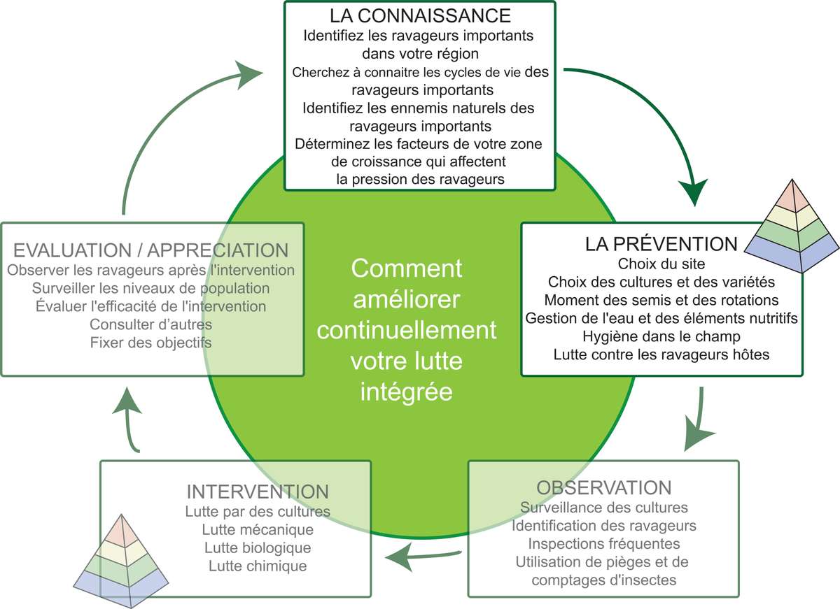 EDN145 Figure 2 French